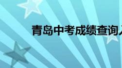 青岛中考成绩查询入口网站2022