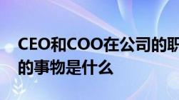 CEO和COO在公司的职位如何定义具体负责的事物是什么