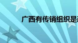 广西有传销组织是政府支持的嘛