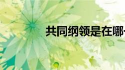 共同纲领是在哪一年制定的