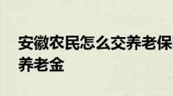 安徽农民怎么交养老保险缴费15年能领多少养老金