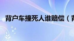 背户车撞死人谁赔偿（背户车是什么意思）