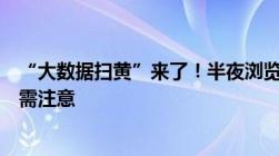 “大数据扫黄”来了！半夜浏览黄色网站也会被查详细范围需注意