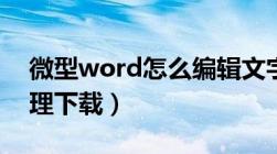 微型word怎么编辑文字（微型word文字处理下载）