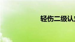 轻伤二级认定标准