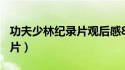 功夫少林纪录片观后感800字（功夫少林纪录片）