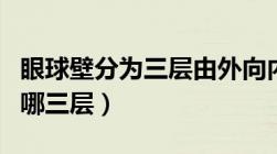 眼球壁分为三层由外向内分别是（眼球壁分为哪三层）