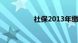 社保2013年缴费是多少