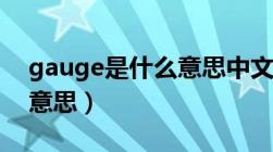 gauge是什么意思中文翻译（gauge是什么意思）