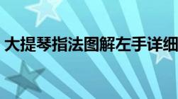 大提琴指法图解左手详细图（大提琴指法图）