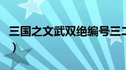 三国之文武双绝编号三二五（三国之文武双绝）