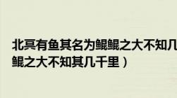 北冥有鱼其名为鲲鲲之大不知几千里也（北冥有鱼其名为鲲鲲之大不知其几千里）