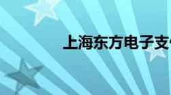 上海东方电子支付有限公司