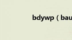 bdywp（baudy百度）