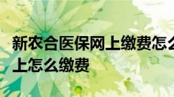 新农合医保网上缴费怎么交新农合医保在手机上怎么缴费