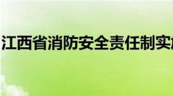 江西省消防安全责任制实施办法自几日起实行