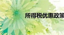 所得税优惠政策最新2023