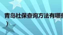 青岛社保查询方法有哪些（青岛社保查询步骤）