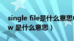 single file是什么意思中文（single window 是什么意思）