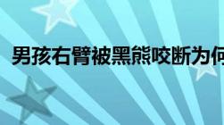 男孩右臂被黑熊咬断为何自身也要承担责任