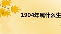 1904年属什么生肖（1904）