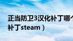 正当防卫3汉化补丁哪个好（正当防卫3汉化补丁steam）