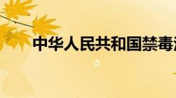 中华人民共和国禁毒法自哪一年实施