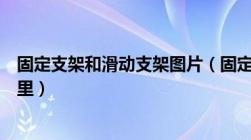 固定支架和滑动支架图片（固定支架和滑动支架的区别在哪里）