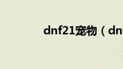 dnf21宠物（dnf正宗宠物）