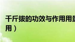 千斤拔的功效与作用用量（千斤拔的功效与作用）