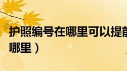 护照编号在哪里可以提前查询（护照本编号在哪里）