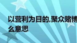 以营利为目的,聚众赌博或者以赌博为业的什么意思