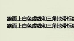 路面上白色虚线和三角地带标线组成的是什么标线?答案（路面上白色虚线和三角地带标线组成）