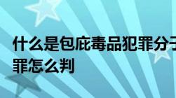 什么是包庇毒品犯罪分子罪包庇毒品犯罪分子罪怎么判