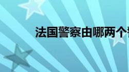 法国警察由哪两个警察系统组成