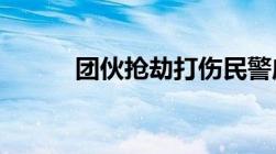 团伙抢劫打伤民警应该如何定罪