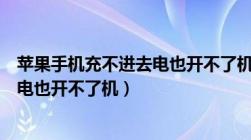 苹果手机充不进去电也开不了机怎么办（苹果手机充不进去电也开不了机）