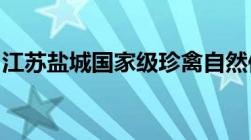 江苏盐城国家级珍禽自然保护区主要保护对象