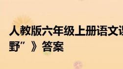 人教版六年级上册语文课时特训《索溪峪的“野”》答案