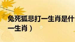 兔死狐悲打一生肖是什么生肖（兔死狐悲 打一生肖）