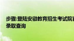 步骤:登陆安徽教育招生考试院官网——成人高校招生——录取查询