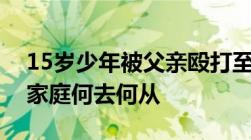 15岁少年被父亲殴打至精神崩溃抚养权成谜家庭何去何从