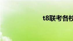 t8联考各校成绩