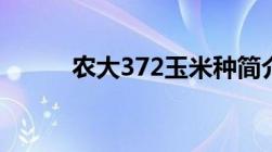 农大372玉米种简介（农大372）