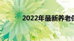 2022年最新养老保险补缴政策