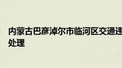 内蒙古巴彦淖尔市临河区交通违章在哪个地方的车管所进行处理