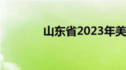 山东省2023年美术联考成绩