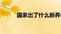 国家出了什么新养老金补交政策