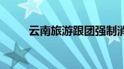 云南旅游跟团强制消费可以报警吗