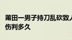 莆田一男子持刀乱砍致人受伤持刀故意伤人轻伤判多久